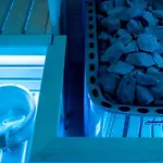 바티야니 카스텔리잘로 잘레크세니
